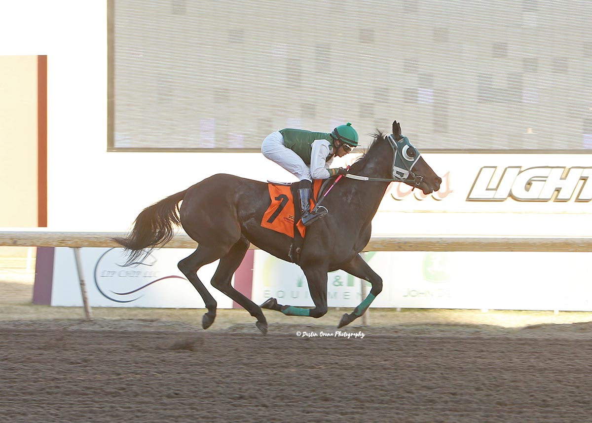 DA PRAIRIE GIRL FIRST TO TRACK AS REMINGTON PARK TRAINING STARTS