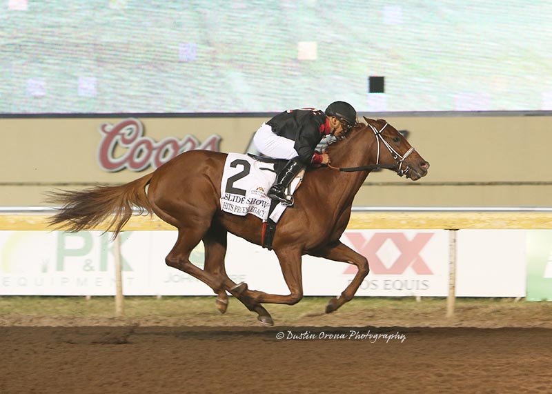 TROUT STAKES WINNERS FLASH WORKOUT PROWESS AT REMINGTON PARK