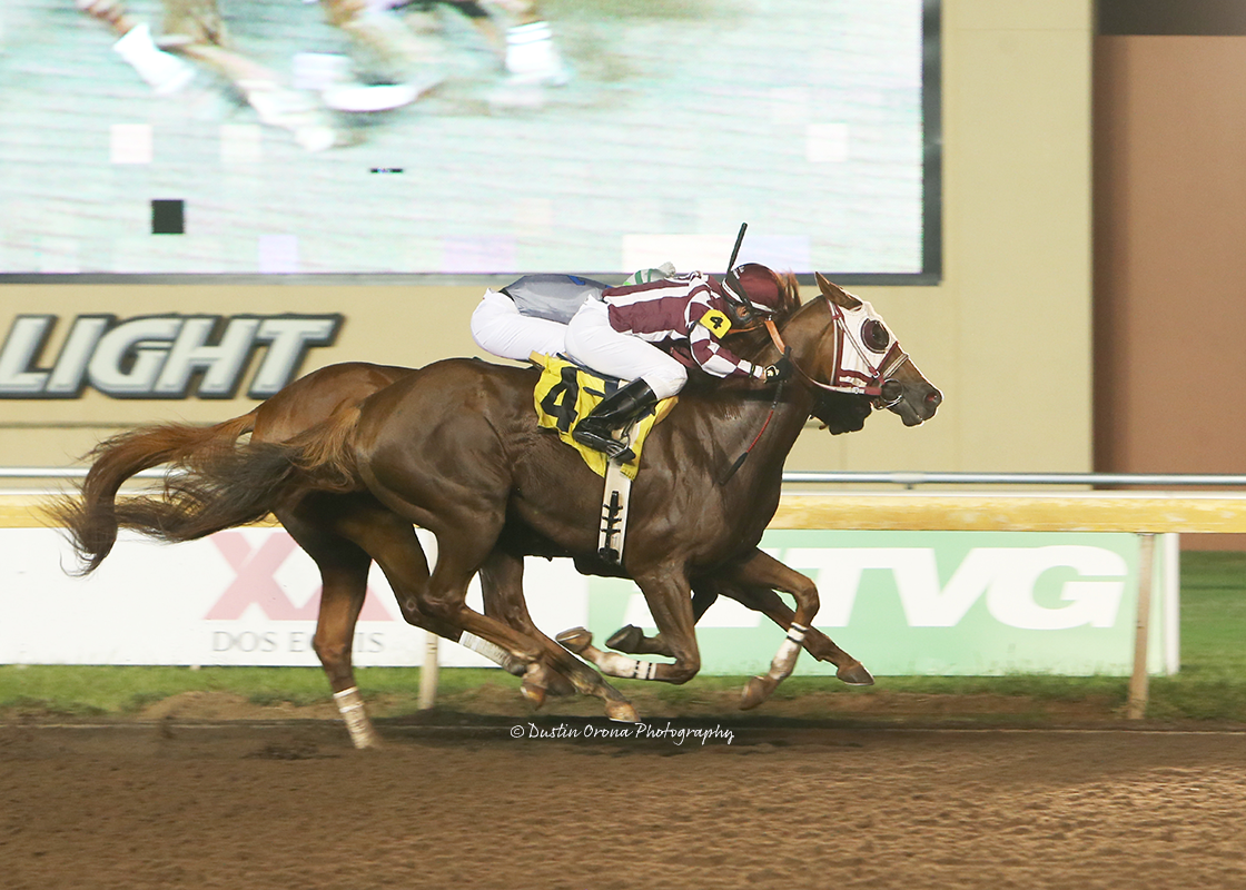 SHADOWLESS PULLS UPSET OF REMINGTON PARK ALLOWANCE FEATURE AT 10-1 ODDS