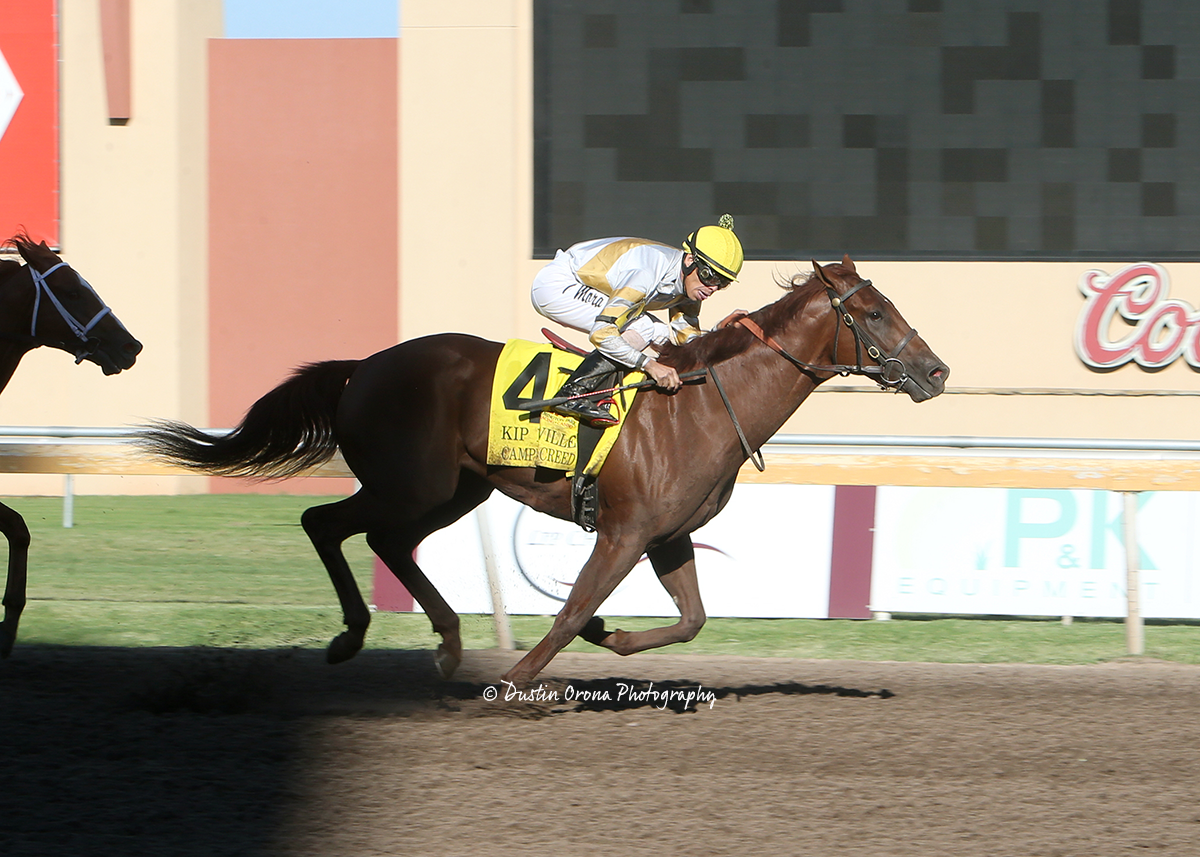 CAMPFIRE CREED ADDS BLACK TYPE TO HIS RESUME WITH WIN IN KIP DEVILLE STAKES