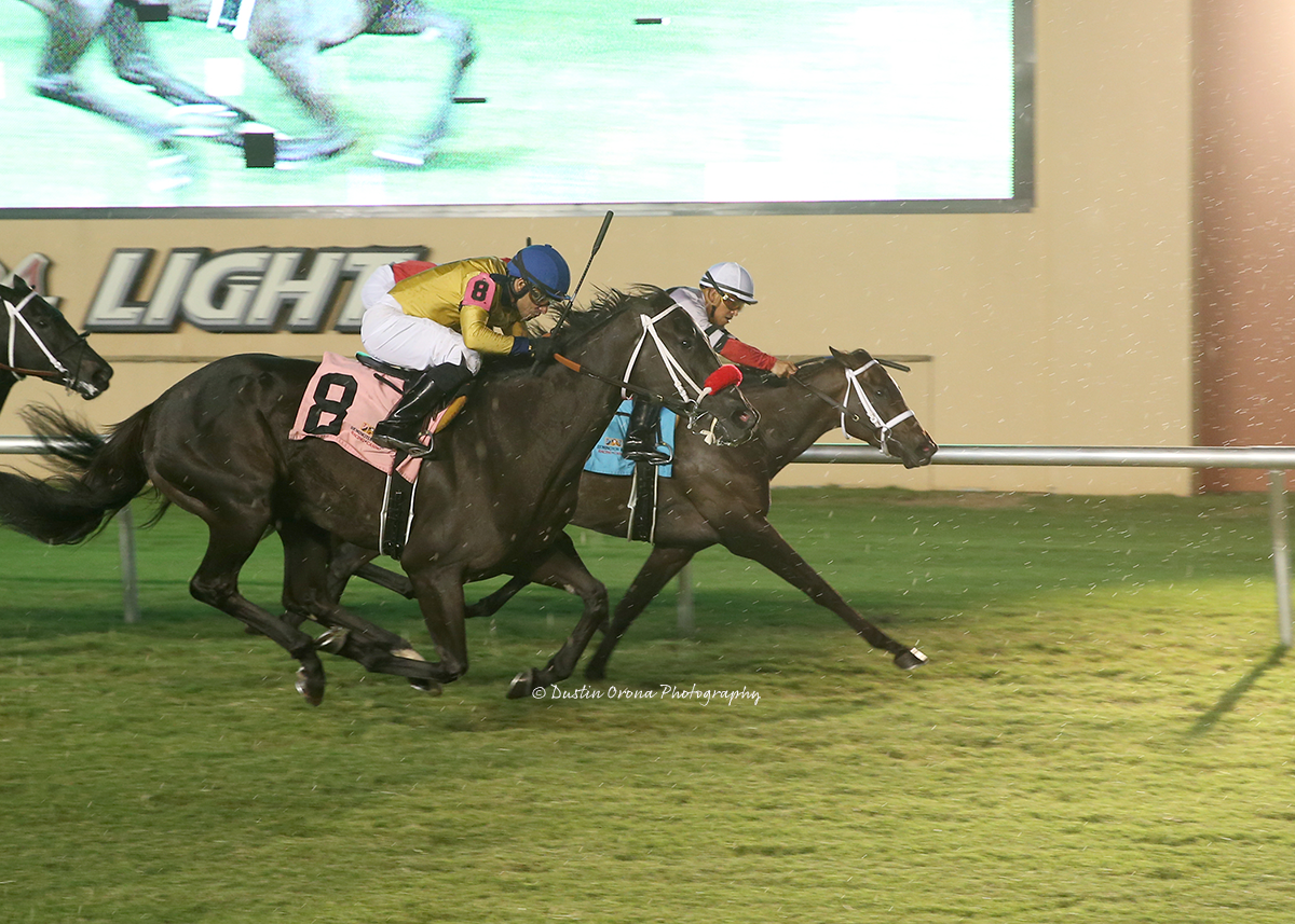 COLORS OF THE WIND RUNS LIKE THE WIND TO WIN FEATURED TURF ALLOWANCE AT REMINGTON PARK