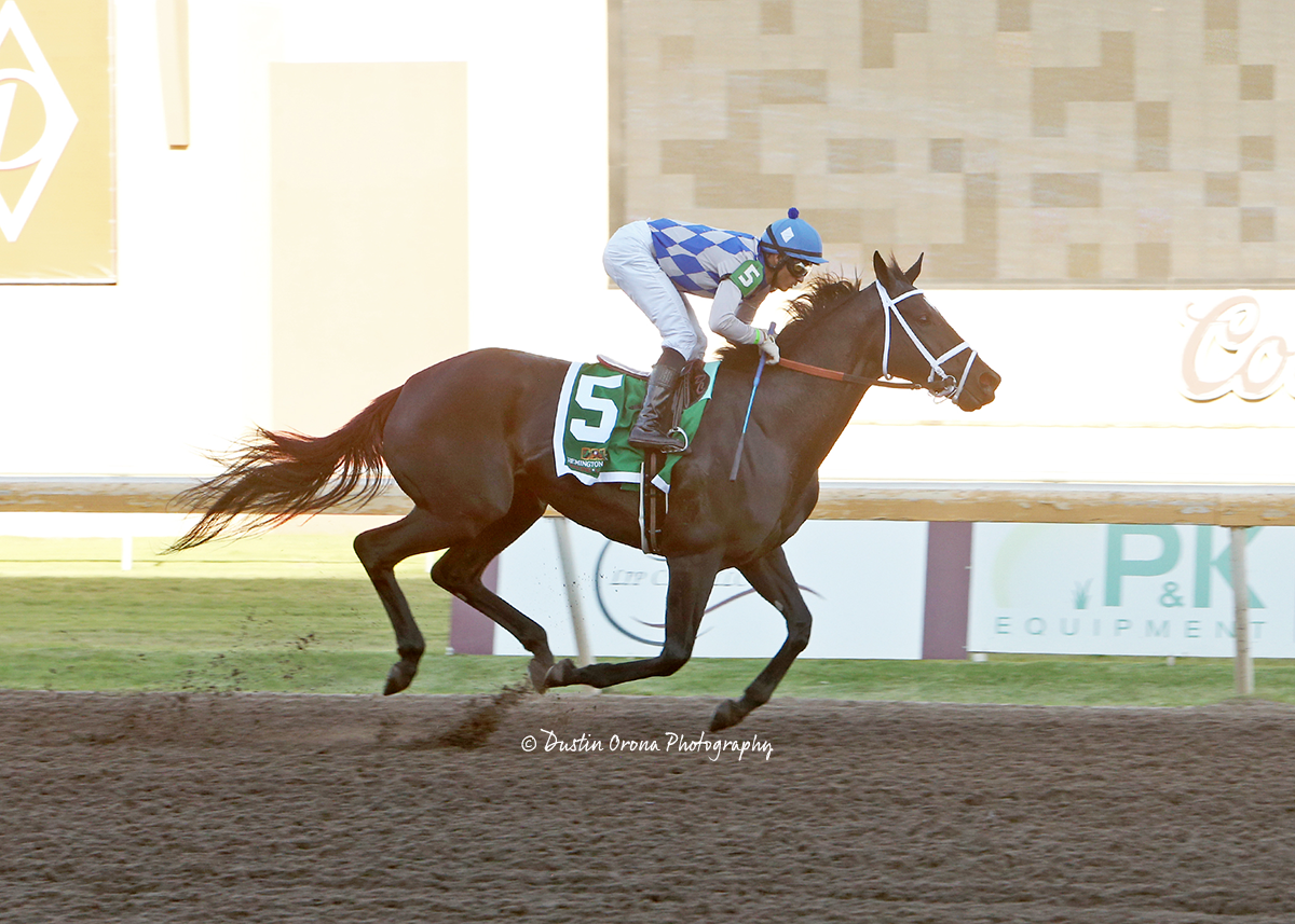 LASTCHANCEFORLOVE GAVE HER FLASHY LADY STAKES COMPETITION NO CHANCE TO WIN