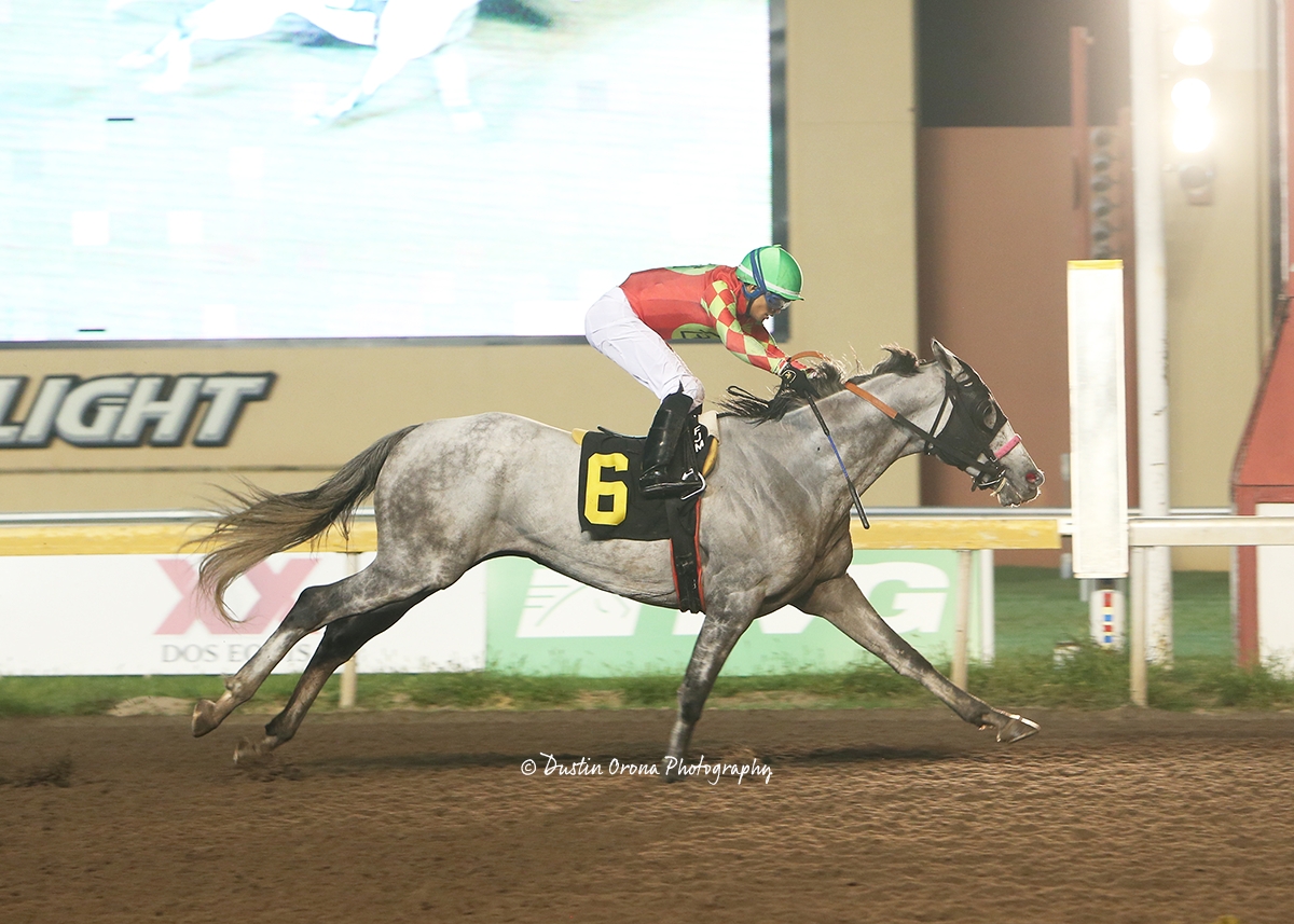 FREDONIAN WINS FOR THIRD TIME IN LAST FOUR TRIES FOR LEADING TRAINER KARL BROBERG AFTER BEING CLAIMED FOR $5,000