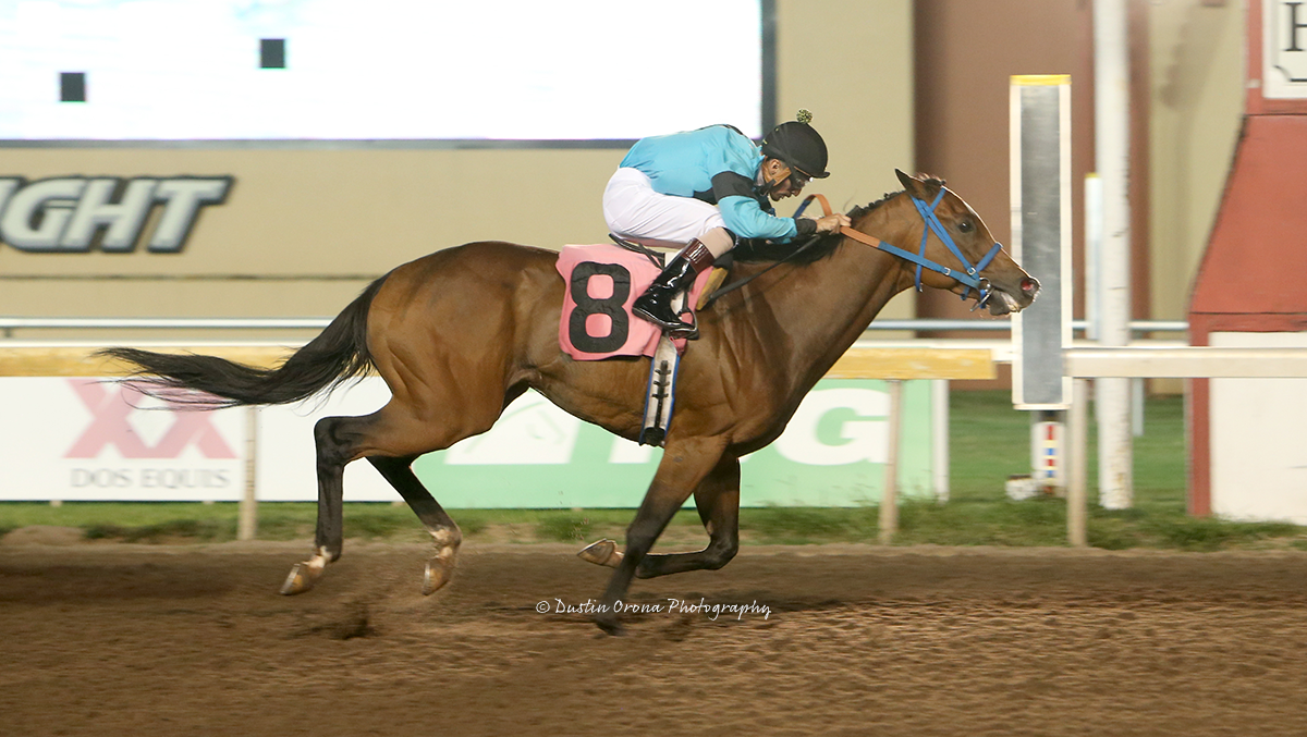 FREUDIAN FATE’S FATE WAS TO DEFEAT $1 MILLION HORSE IN FEATURED ALLOWANCE RACE