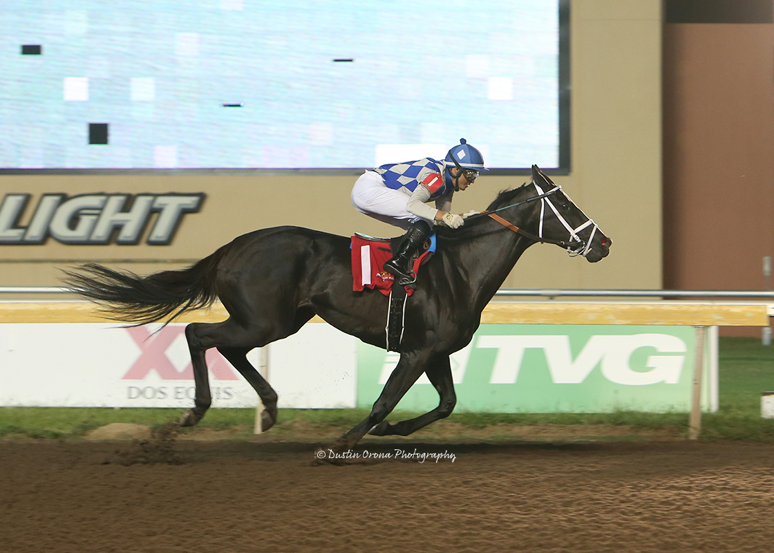 LASTCHANCEFORLOVE OVERSHADOWS TWO HEAVY FAVORITES IN OPEN ALLOWANCE RACE AT REMINGTON PARK