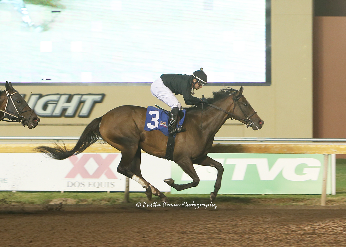SHE’S ALL WOLFE CONTINUES HER DOMINANT WAYS ON REMINGTON PARK’S MAIN TRACK IN FEATURED ALLOWANCE RACE