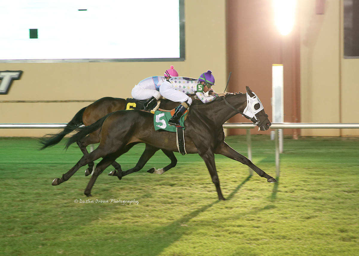 CAIRO WARRIOR RETURNS TO HIS PREFERRED DISTANCE ON GRASS, WINS FOR FOURTH TIME AT ONE MILE IN ALLOWANCE FEATURE