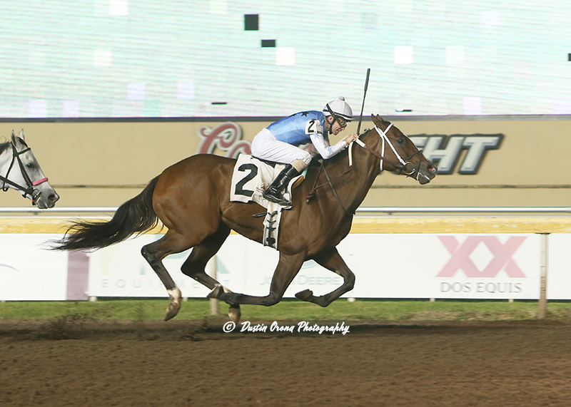 LADY AVE RETURNS TO REMINGTON, RETURNS TO HER WINNING WAYS ON TRACK SHE LOVES