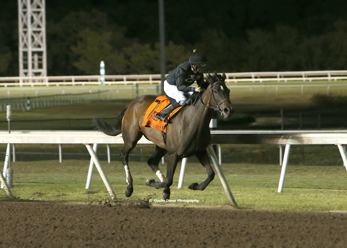 SHE’S ALL WOLFE WINS OKLAHOMA CLASSICS DISTAFF FOR THIRD YEAR IN ROW, TRAINER DONNIE VON HEMEL WINS 30TH CLASSICS RACE