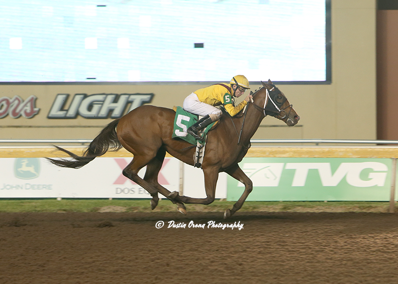 MILLION-DOLLAR HORSE RETURNS TO BLINKERS FOR TRAINER STEVE ASMUSSEN, RETURNS TO WINNER’S CIRCLE
