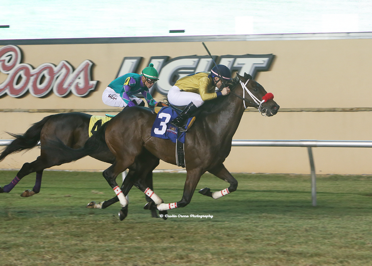 NEWPORT BEACH FINDS CLEAR PATH TO VICTORY IN ALLOWANCE TURF FEATURE UNDER LEADING RIDER CRISTIAN TORRES