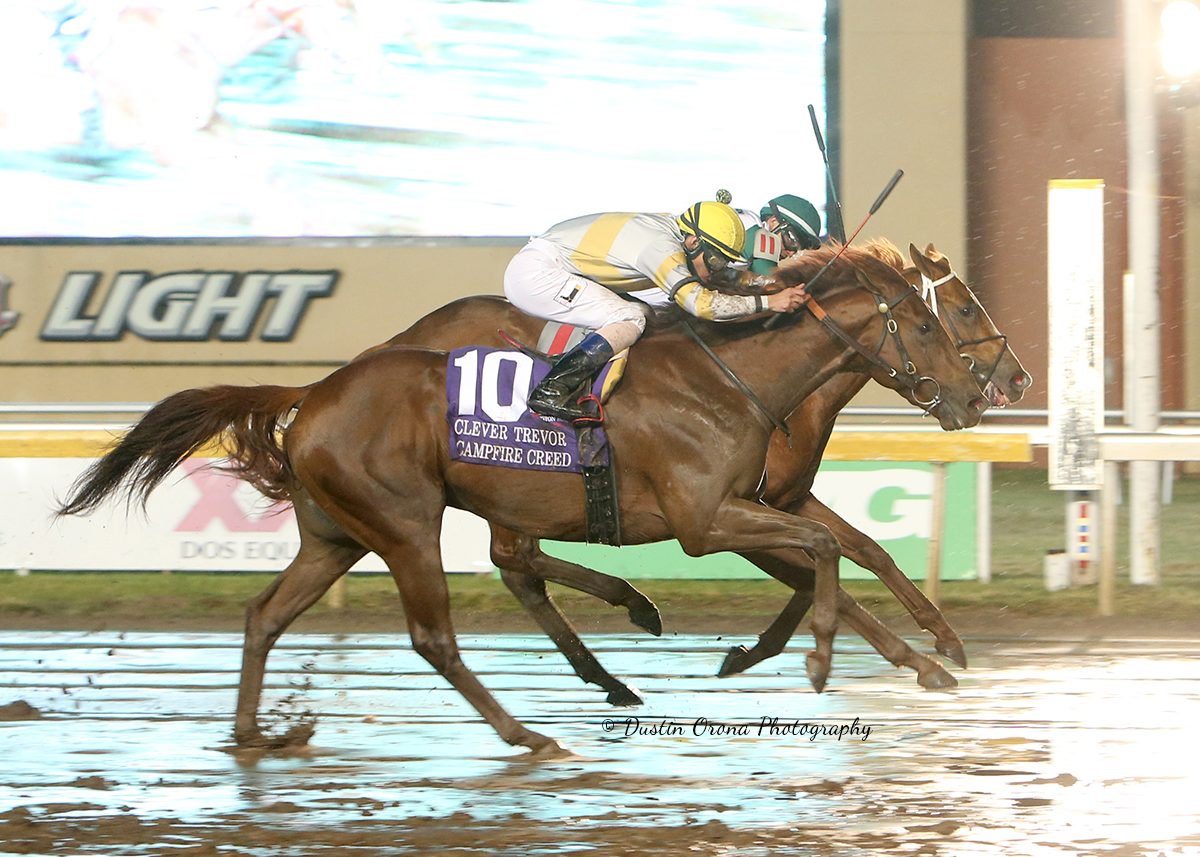 WILDATLANTICSTORM TURNS TABLES IN CLEVER TREVOR STAKES WIN ON STORMY WET NIGHT