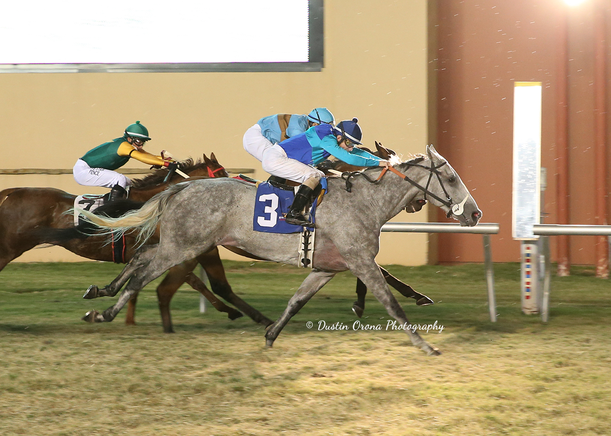 SUNLIT SONG CONTINUES HIS WINNING WAYS ON REMINGTON PARK TURF COURSE IN FEATURED ALLOWANCE RACE