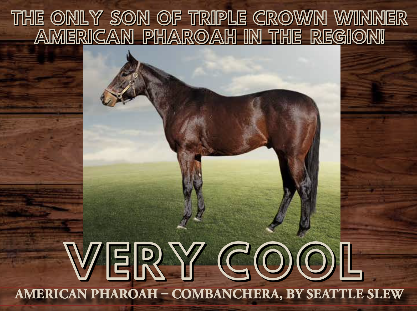 Attention Breeders