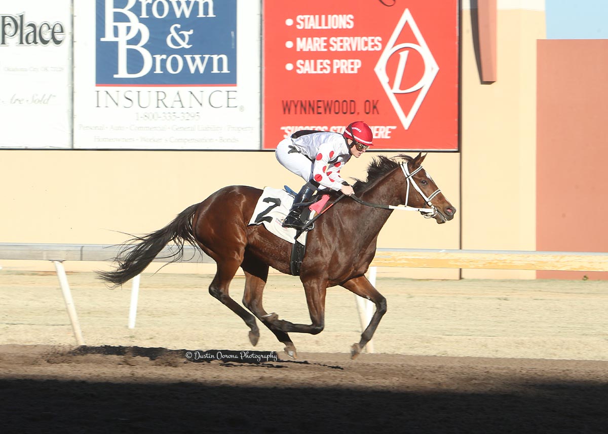 DOUDOUDOUWANADANCE, OLIVIA TWIST HOPE TO MAKE IT TOUGH SLEDDING FOR SHIPPERS TRAPEZE AT REMINGTON PARK