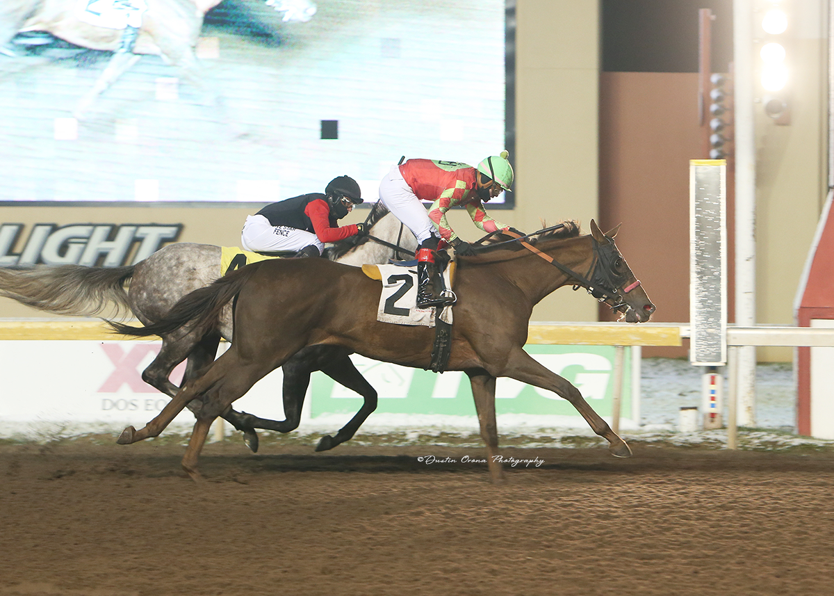 KARL BROBERG ENDS TWO WINNING STREAKS IN RACE FOR CHAMPION TRAINER, OWNER, CRISTIAN TORRES ALSO ENDS ANOTHER STREAK