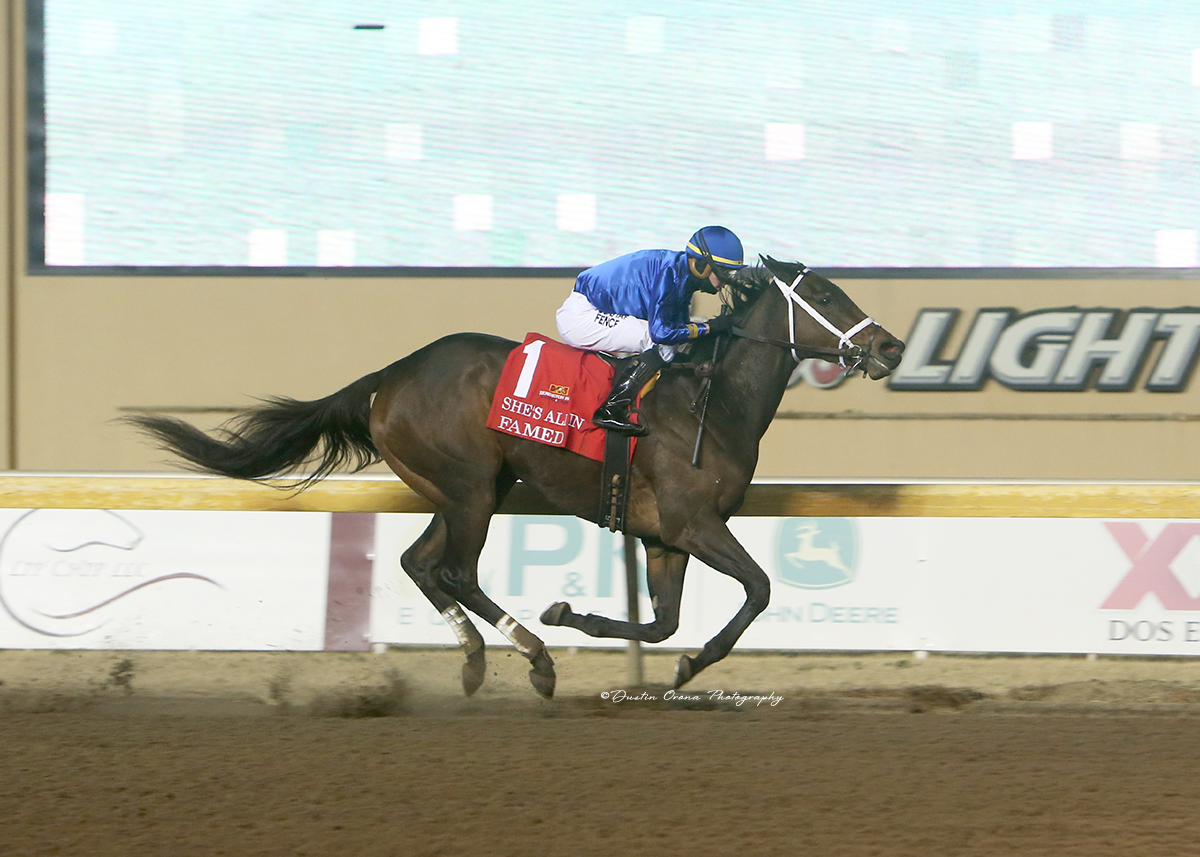 FAMED DOMINATES SHE’S ALL IN STAKES FOR TRAINER BRAD COX