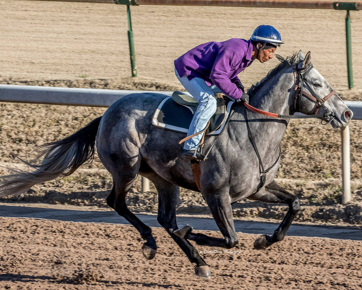 FORMER REMINGTON PARK JOCKEY LARRY TAYLOR RETURNS HOME AS TRAINER, ONE OF HIS OWNERS IS ALL-TIME OKC RIDER CLIFF BERRY