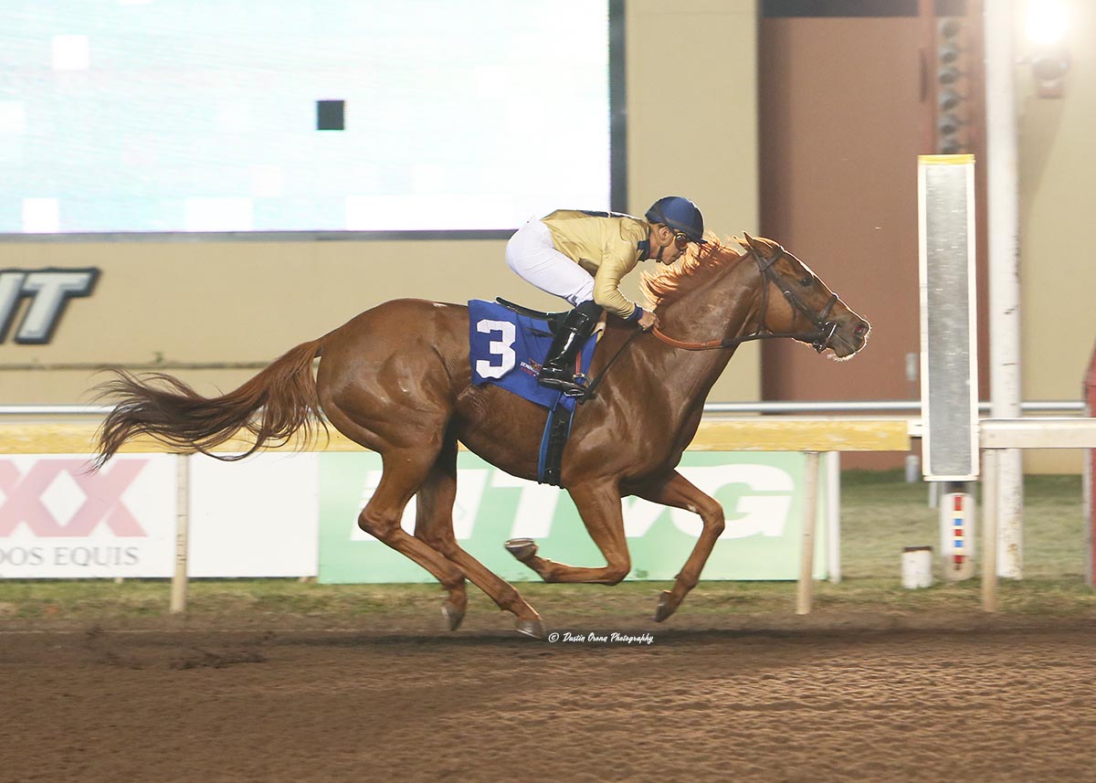 DA CANDY CANE, TWO-TIME WINNER FROM LAST YEAR AT REMINGTON PARK, WORKS NEAR BULLET OUT OF NEW BARN