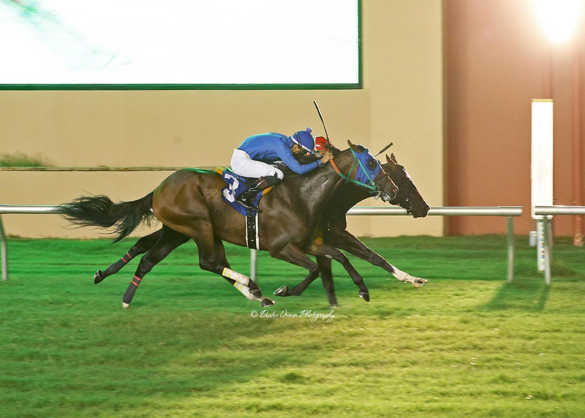 COME SATURDAY IT WAS MORE THAN ALL RIGHT FOR PARROT HEAD WINNING FEATURE RACE ON TURF