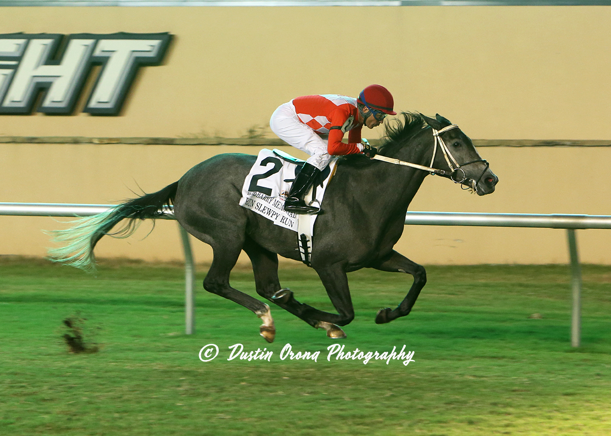 MULTIPLE STAKES WINNERS GET FIRST WORKOUTS OF MEET OUT OF NEW BARN