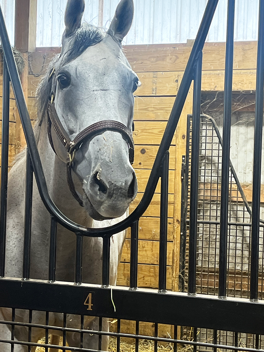 WELDER ARRIVES AT OLD FRIENDS IN KENTUCKY – TRAO