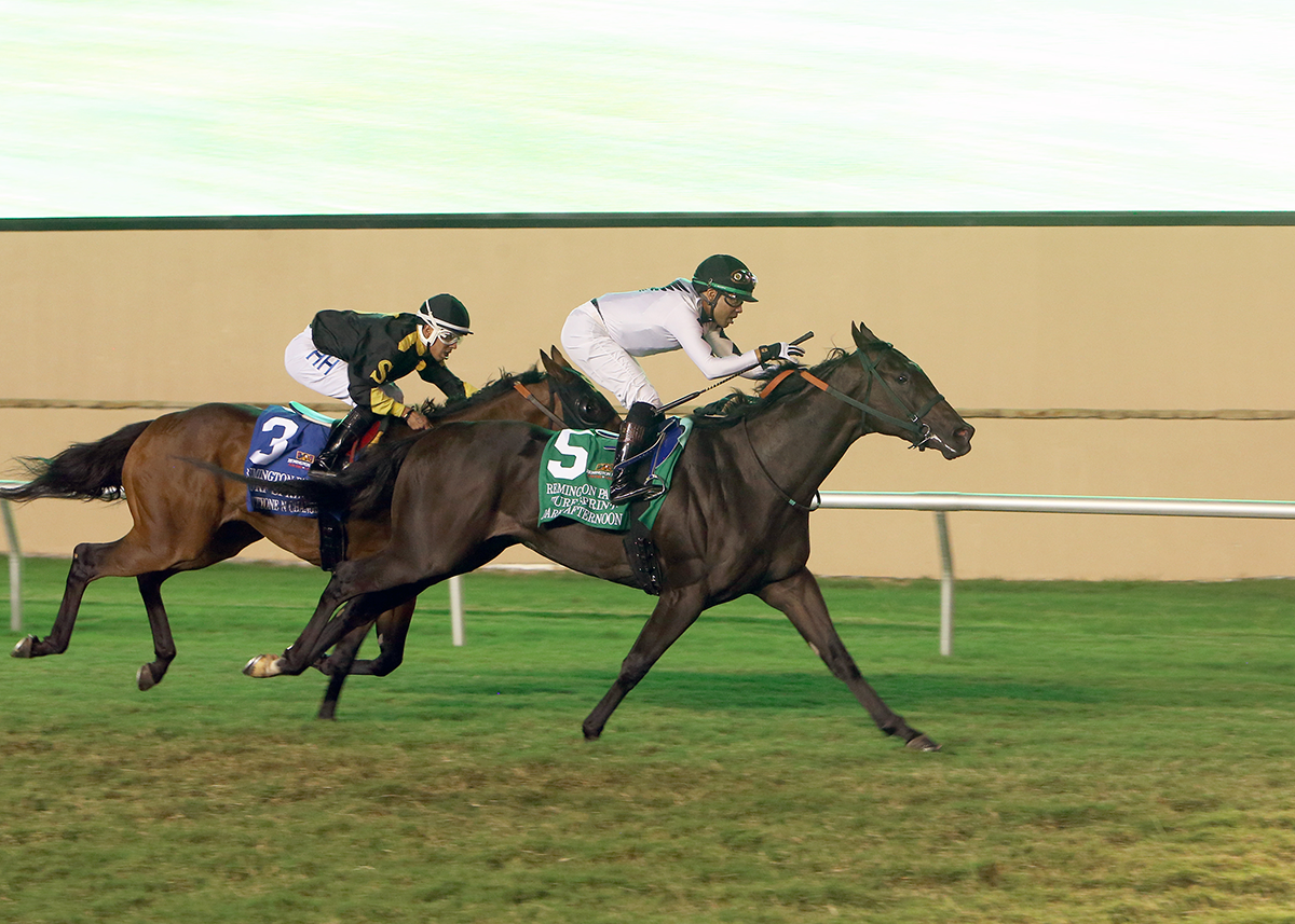 DARK AFTERNOON PROVES VERSATILITY, WINNING REMINGTON PARK TURF SPRINT FROM SPRINT FROM OFF PACE UNDER JOCKEY JERMAINE BRIDGMOHAN