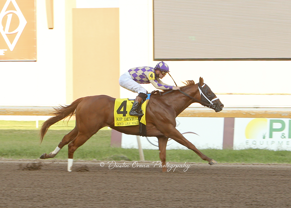 GOOD LIKE MAGIC WAS GOOD LIKE HIS SIRE, GOOD MAGIC, WHILE WINNING KIP DEVILLE STAKES AT REMINGTON PARK
