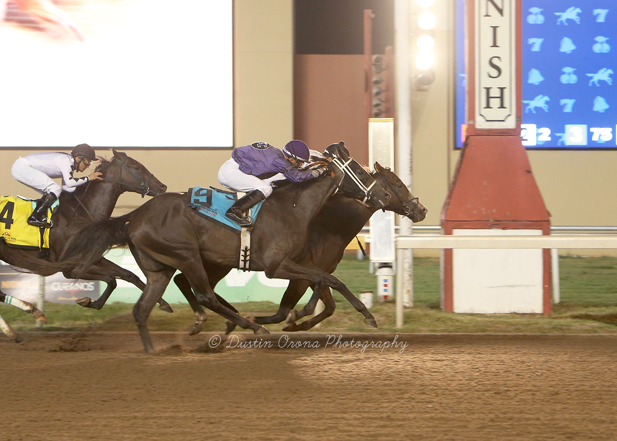 KODALINE GIVES TRAINER KARI CRADDOCK HER FOURTH CONSECUTIVE WIN IN OKLAHOMA STALLION HANDICAP FOR COLTS & GELDINGS at REMINGTON PARK