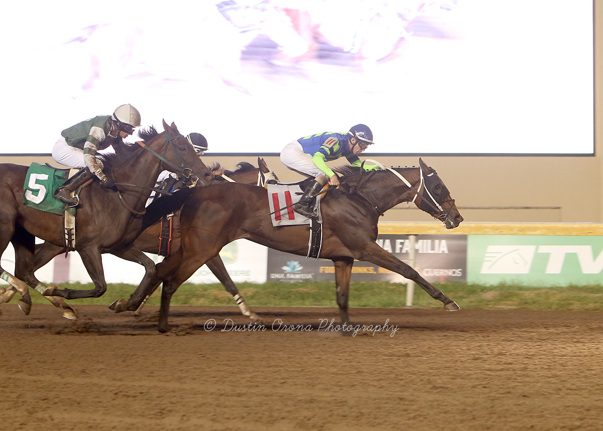 MULTIPLE STAKES WINNER HOOSIER PHILLY STRONG POSSIBILITY FOR GRADE 3 REMINGTON PARK OAKS