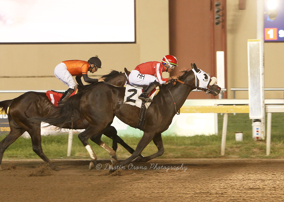 HOLDEN THE LUTE DROPS IN CLASS, WINS FEATURED ALLOWANCE RACE IN TOUGH FIGHT AS HEAVY FAVORITE