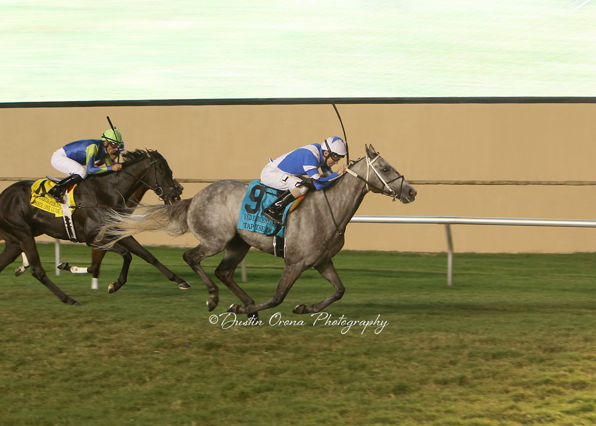 TAP THE DOT GIVES JOCKEY STEWART ELLIOTT FIFTH WIN ON NIGHT WITH VICTORY IN RED EARTH STAKES