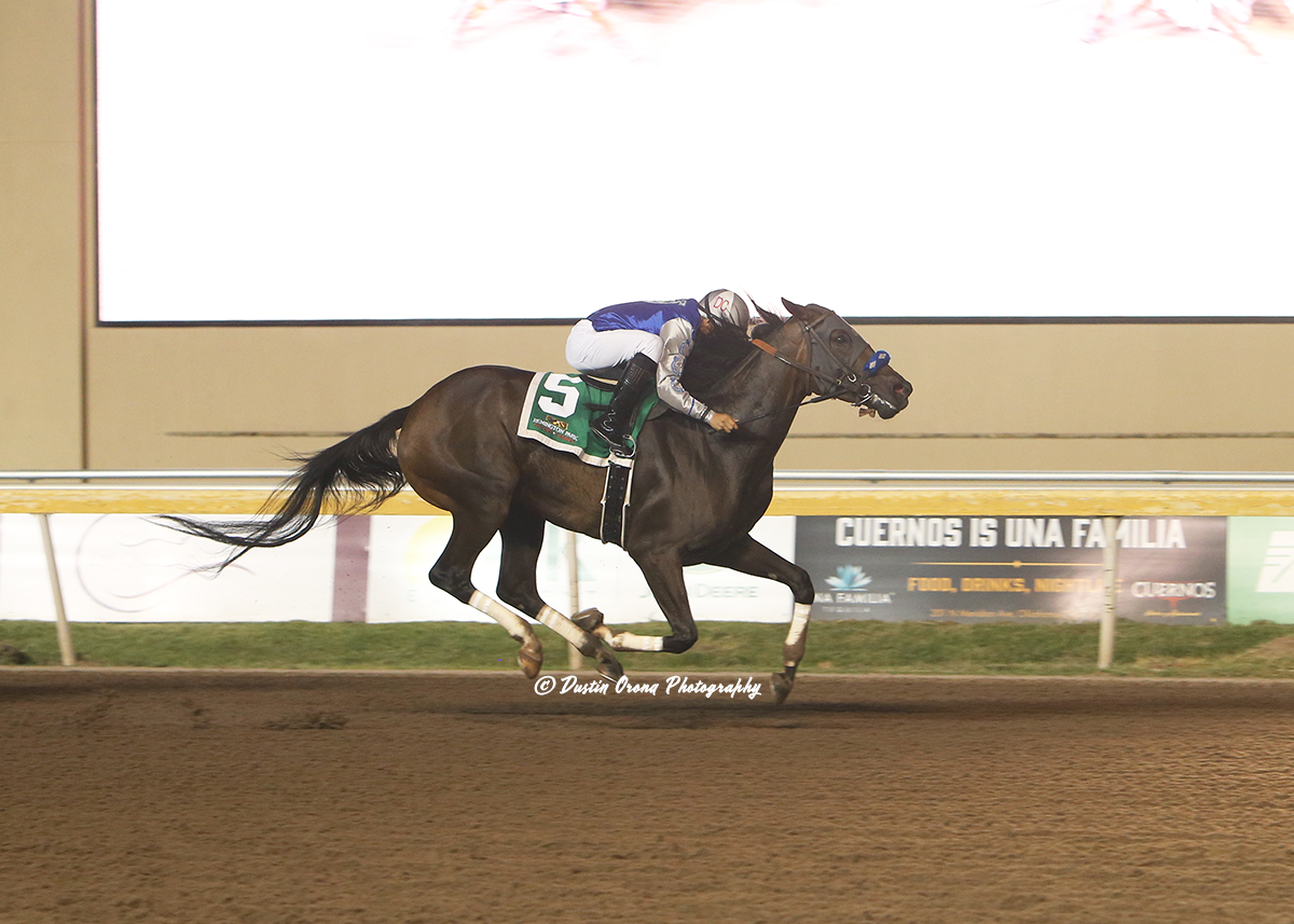 GUARANTEED NEW WINNER for the OKLAHOMA CLASSICS DISTAFF ON FRIDAY, OCTOBER 20
