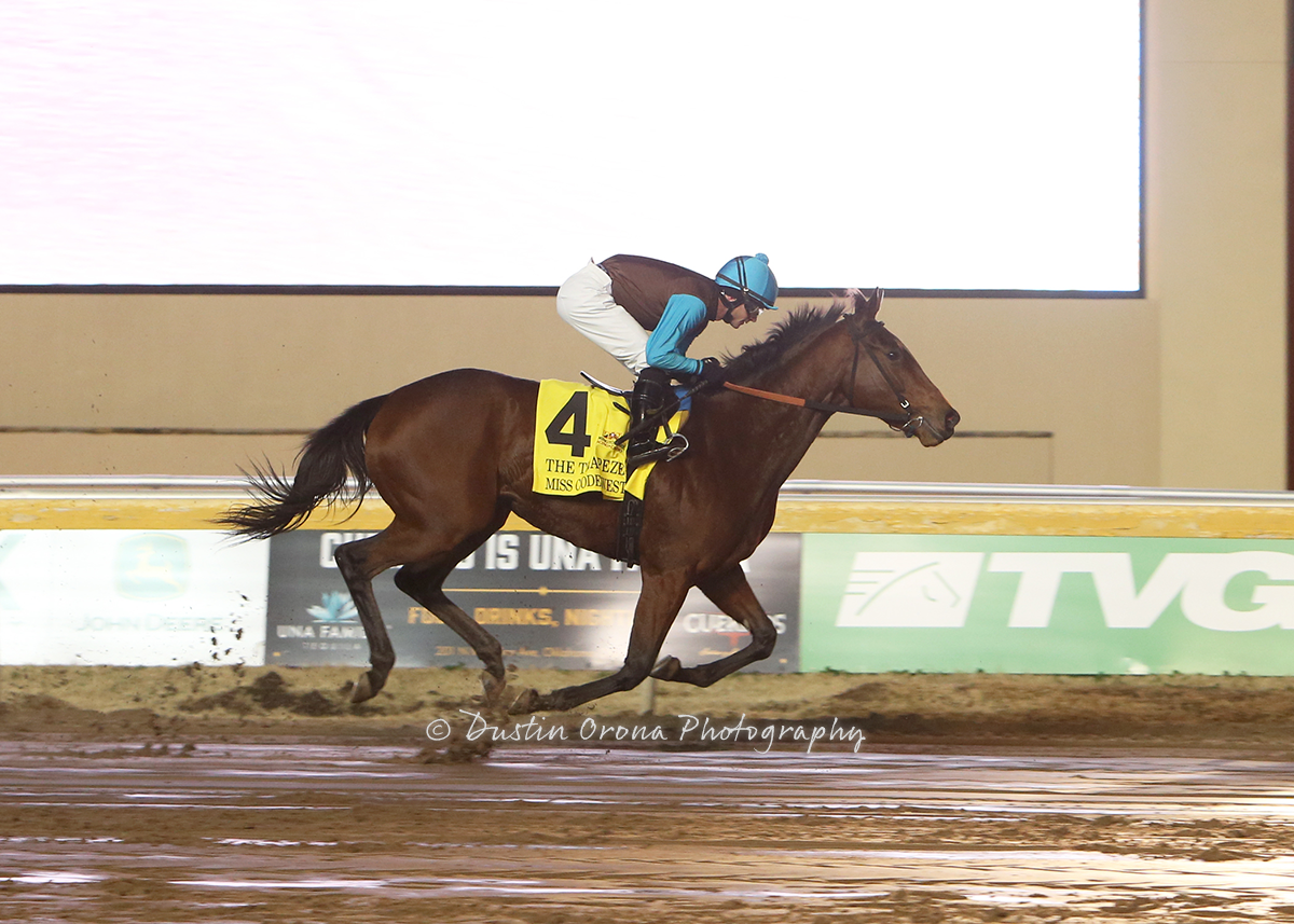 LAST YEAR’S HORSE OF MEET, MISS CODE WEST, RETURNS TO REMINGTON PARK FOR TRAINER KEVIN SCHOLL