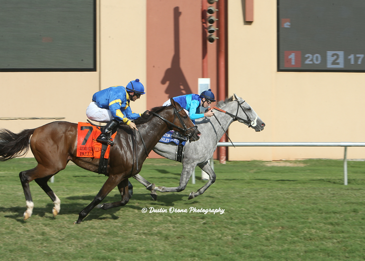MULTIPLE STAKES WINNER ON TURF, SUNLIT SONG, RETURNS TO REMINGTON PARK