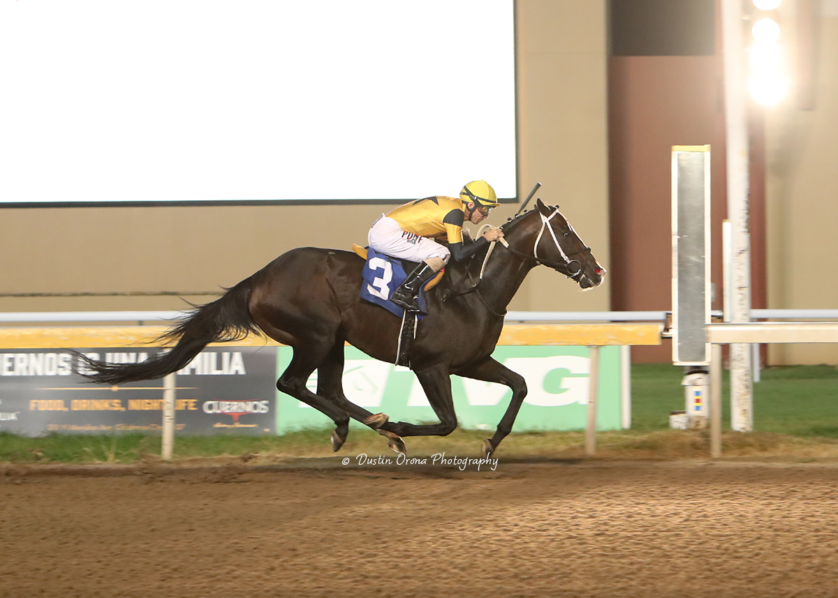 JAXON TRAVELER WINS SATURDAY TO GIVE STEVE ASMUSSEN HIS SECOND REIMINGTON PARK FEATURE WIN IN AS MANY NIGHTS