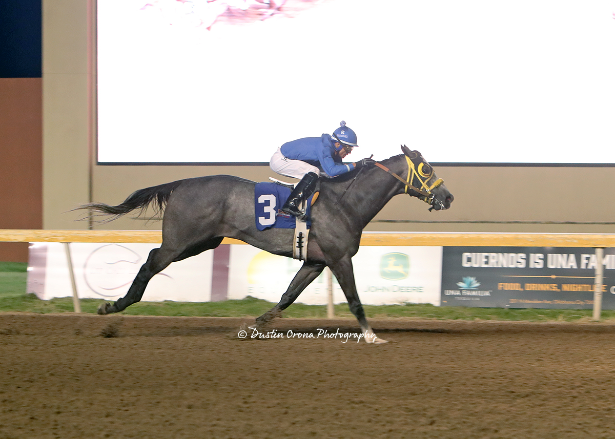 OKLAHOMA STALLION STAKES SET FOR SEPTEMBER 6 AT REMINGTON PARK