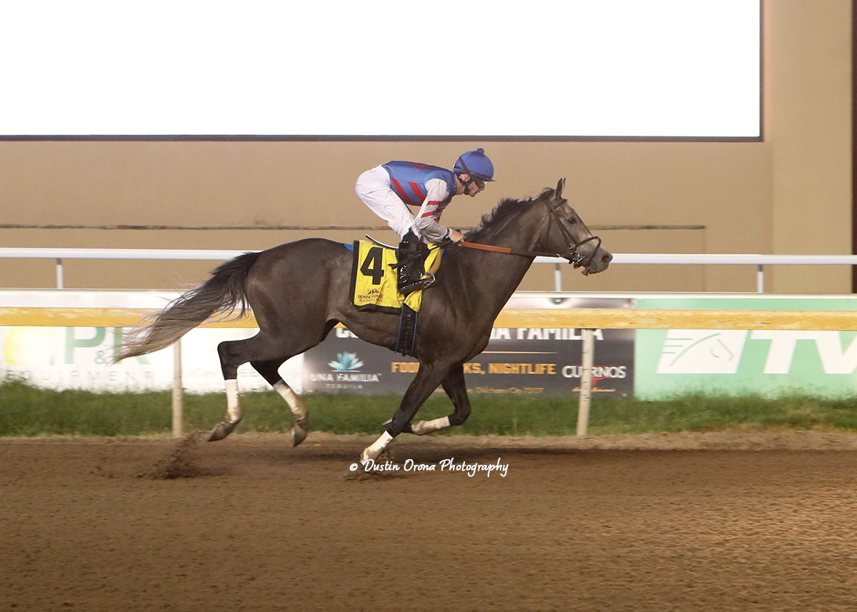 FLAT HANBY WINS OKLAHOMA STALLION HANDICAP COLTS & GELDINGS DIVISION AT REMINGTON PARK FOR HIS FIFTH WIN IN ROW THIS YEAR