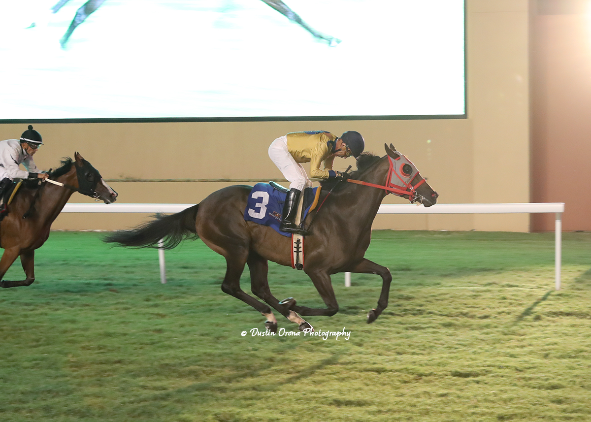 VETERAN JOCKEY LUIS QUINONEZ PUTS IN PATENTED CLOSING KICK WITH C W CHARM FOR SECOND STRAIGHT REMINGTON PARK VICTORY