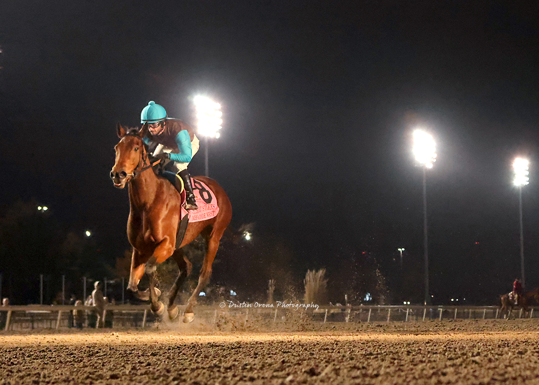 MISS CODE WEST, TWO-TIME REMINGTON PARK HORSE OF MEET,