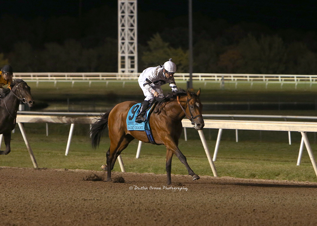 MULTIPLE STAKES WINNERS WORK IN PREPARATION FOR UPCOMING REMINGTON PARK SEASON