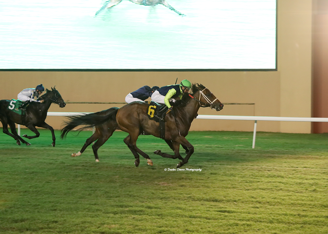 BROTHER REID FINDS OPEN ROOM FOR FEATURE SCORE AT REMINGTON PARK