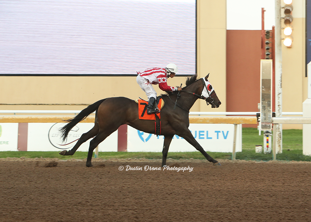 THE FIRST WALKOVER IN REMINGTON PARK HISTORY HANDLED BY HARD GOLD