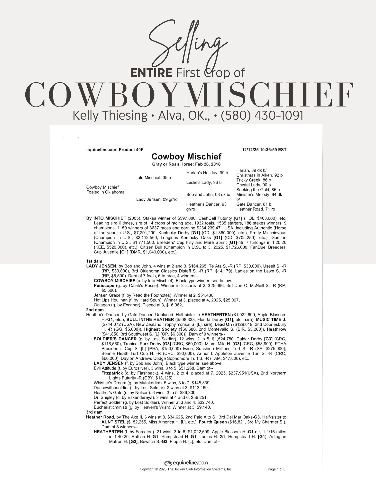 Cowboy Mischief Entire 1st Crop For Sale