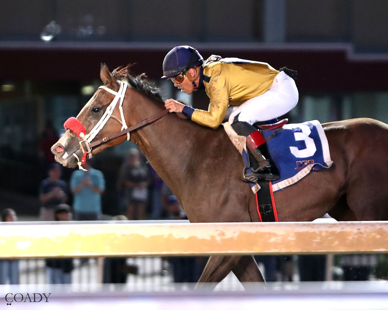 LONGEST SHOT BUCK PIE, WINS COLTS & GELDINGS DIVISION OF OKLAHOMA STALLION HANDICAP AT 57-1 ODDS