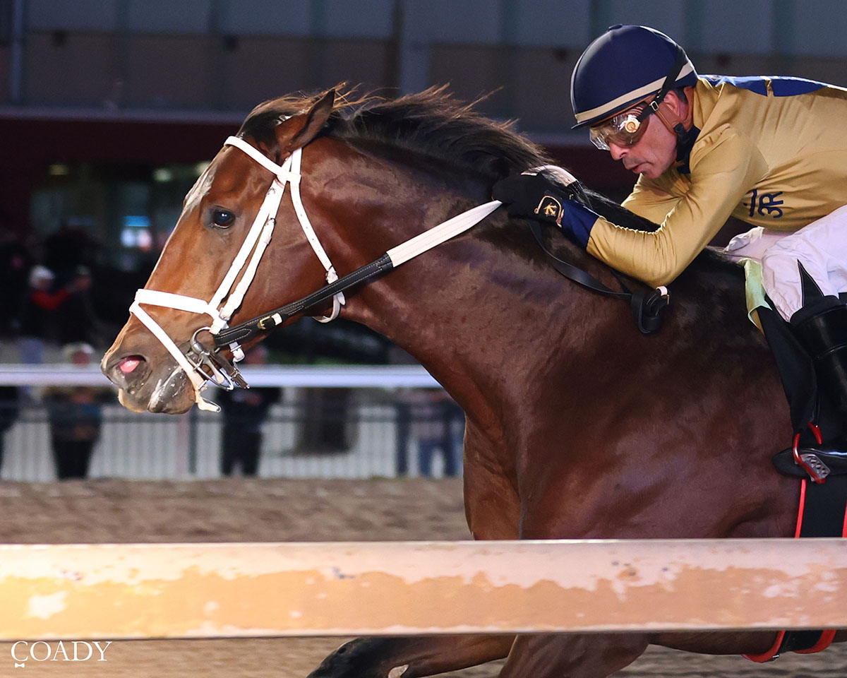 MISTER OMAHA RETURNS TO HIS TOP FORM, WINNING OKLAHOMA CLASSICS CUP UNDER JOCKEY LUIS QUINONEZ AT REMINGTON PARK