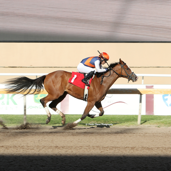 THE FIRST WINNER AT REMINGTON PARK COMES FROM THE TOP ROPE