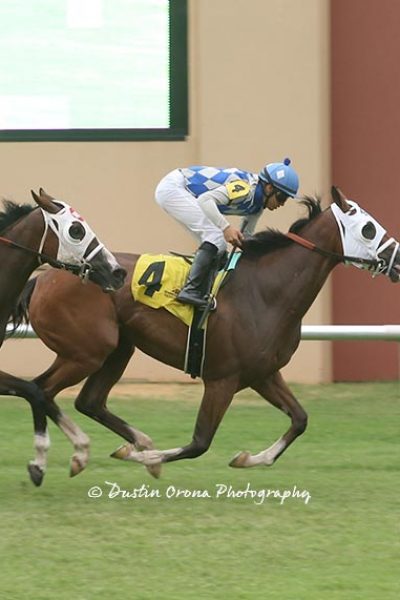 TATANKA SURVIVES INQUIRY TO WIN ALLOWANCE FEATURE ON TURF WITH JOCKEY DAVID CABRERA UP