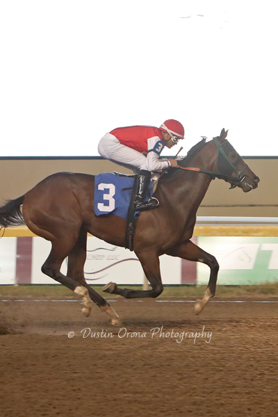 BRAVO DOUBLES, TRAINING PADILLAS EACH WIN, HERNANDEZ CLOSER AT REMINGTON PARK