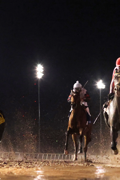 BUEHRER SENDS STAKES WINNER EIREANN TO RACETRACK IN PREPARATION FOR REMINGTON PARK SEASON